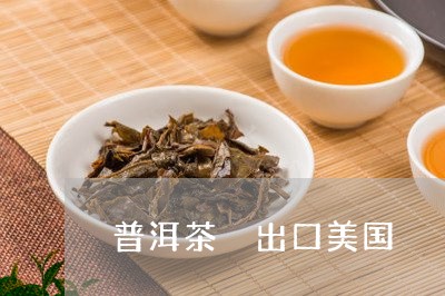 普洱茶 出口美国/2023041061939